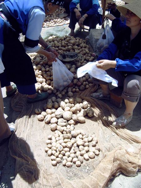 veel aardappelen
