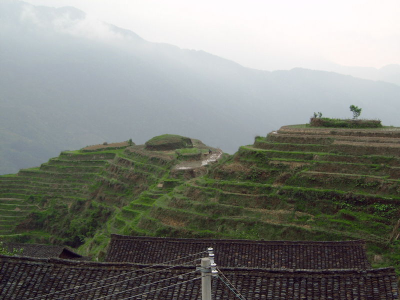 de smalle terrassen van Longshi liggen als een spiraal om de bergen.
