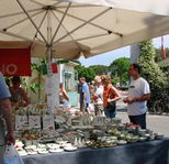 Italie014_1-Lazise_Markt.jpg