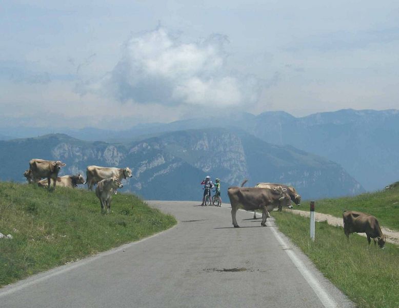 Rondrit door en over de Monte Baldo
