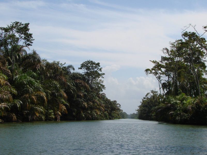 Nat.Park Tortuguero
