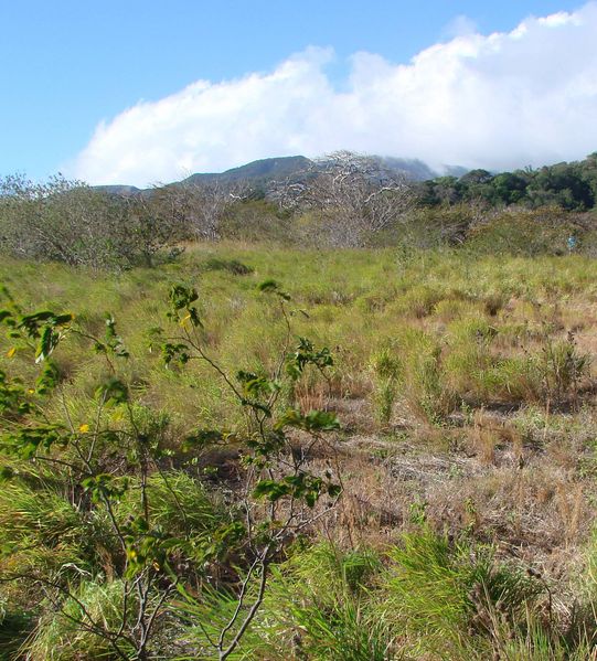 Park Rincon de la Vieja
