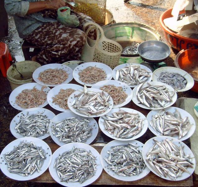 Verse vis op markt Hoi An
