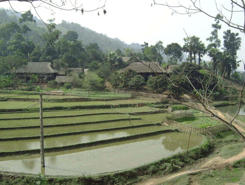 Rijstterrassen en een verscholen dorpje.
