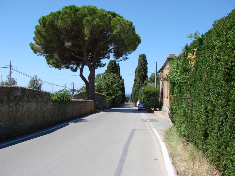 Strada Provinciale Bolgherese vanuit Bolgheri
Keywords: Bolgheri