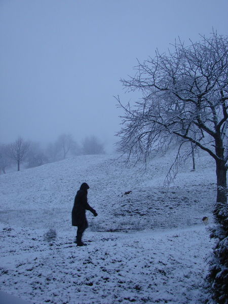 Marjon laat Fleur uit in de sneeuw
47.055096,8.637828
Keywords: Summeraubrig, Seewen Schwyz