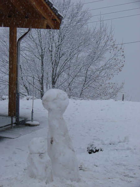De eerste sneeuwpoppen
47.055187,8.637716
Keywords: Summeraubrig, Seewen Schwyz