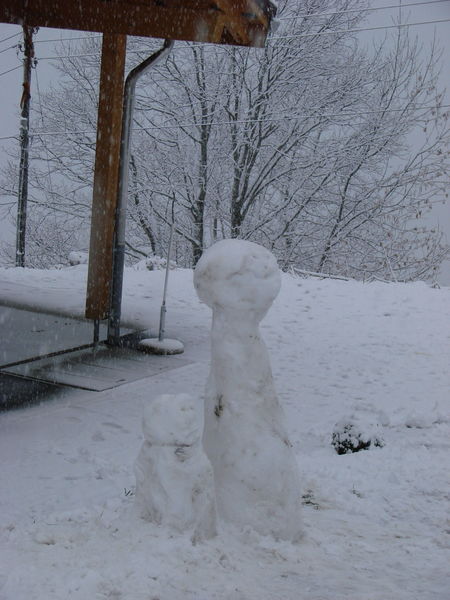 De eerste sneeuwpoppen
47.055187,8.637716
Keywords: Summeraubrig, Seewen Schwyz