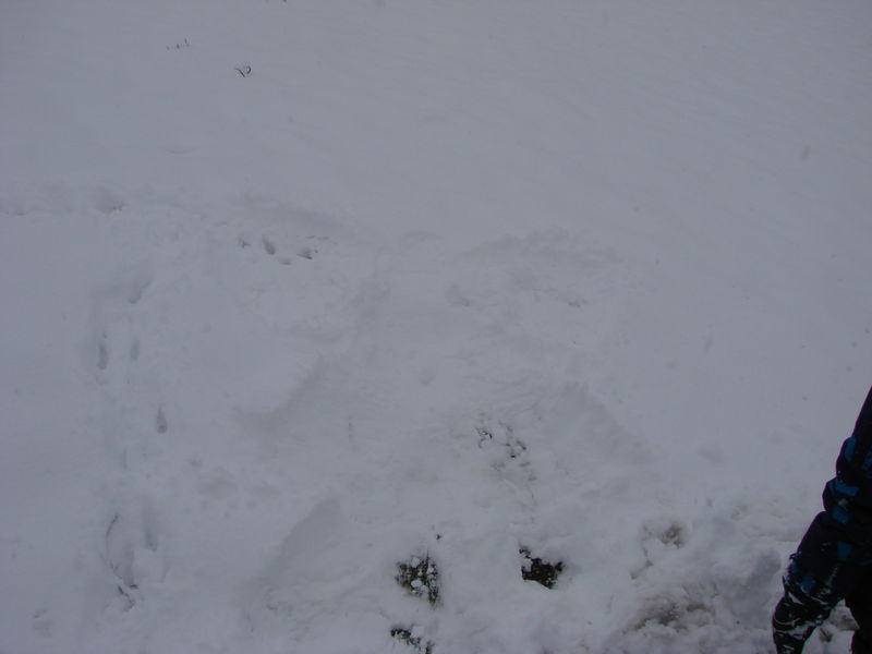 Sneeuwengel van Merijn
47.065713,8.647903
Keywords: Sattel-Hochstuckli