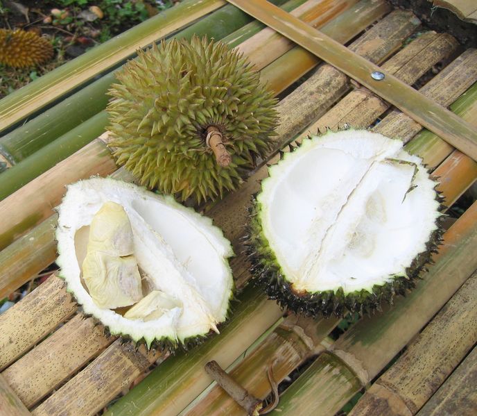 Durian
